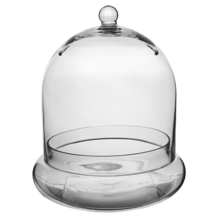10x11.38 Terrarium Cloche