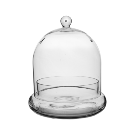7"x8.25" Terrarium Cloche